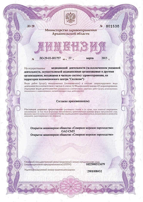 Лицензия на осуществление медицинской деятельности Лицензия на осуществление медицинской деятельности